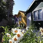Homestay Kuba Side
